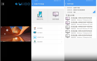 灰鴿子、向日葵、To desk、Team Viewer、Anydesk