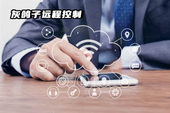 灰鴿子、向日葵、To desk、Team Viewer、Anydesk