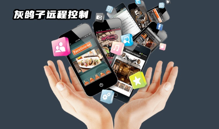 灰鴿子、向日葵、To desk、Team Viewer、Anydesk