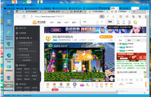 灰鴿子、向日葵、To desk、Team Viewer、Anydesk