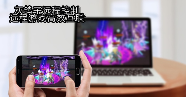 灰鴿子、向日葵、To desk、Team Viewer、Anydesk