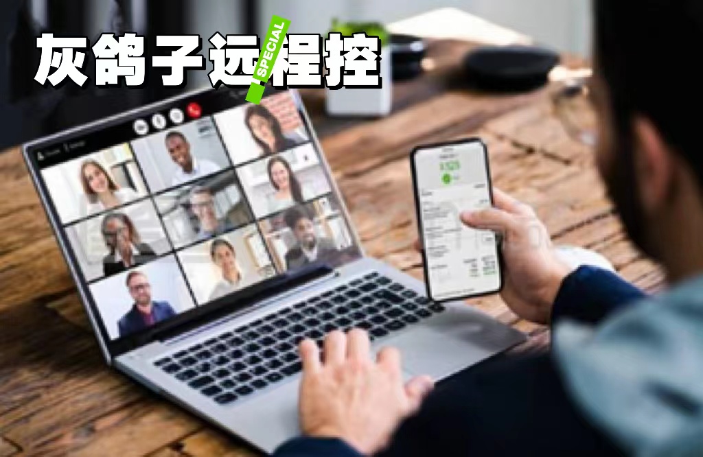 灰鴿子、向日葵、To desk、Team Viewer、Anydesk